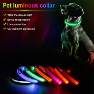 Collare luminoso per cani