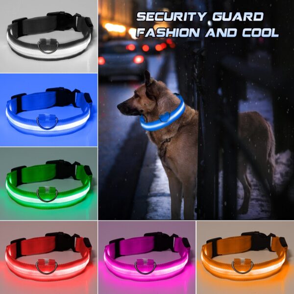 Collare luminoso per cani - immagine 3