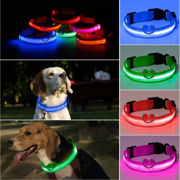 Collare luminoso per cani - immagine 4