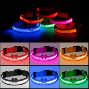 Collare luminoso per cani