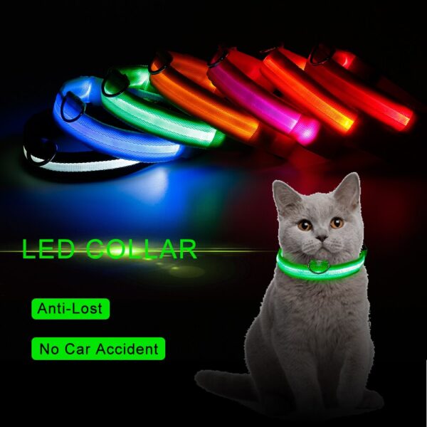 Collare luminoso per cani - immagine 5