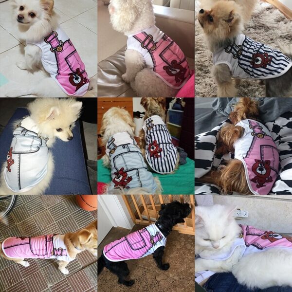 Simpatica tshirt per cani - immagine 3