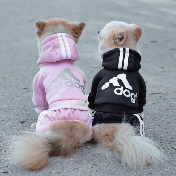 Felpe cane piccola taglia - immagine 4