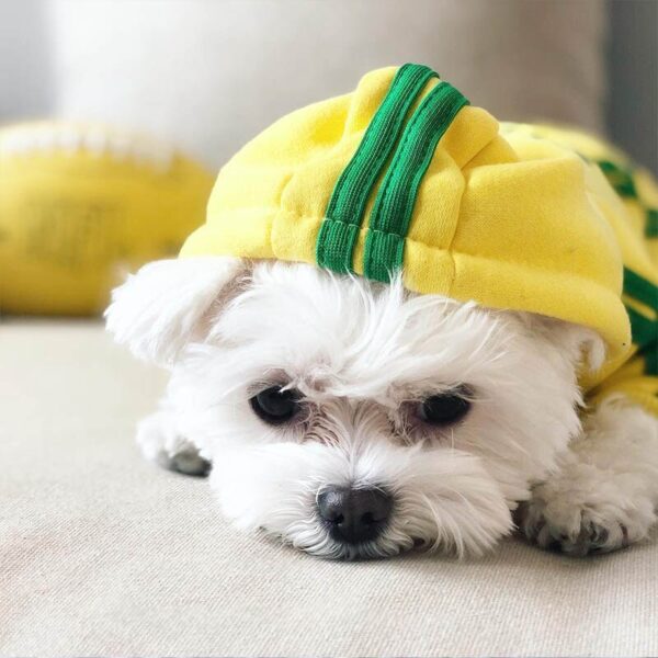 Felpe cane piccola taglia - immagine 6