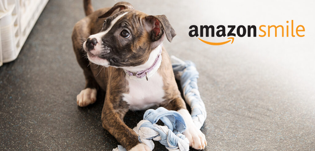Amazon cani